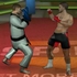 MMA Training Ground