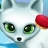 Paws to Beauty: Arctic Edition